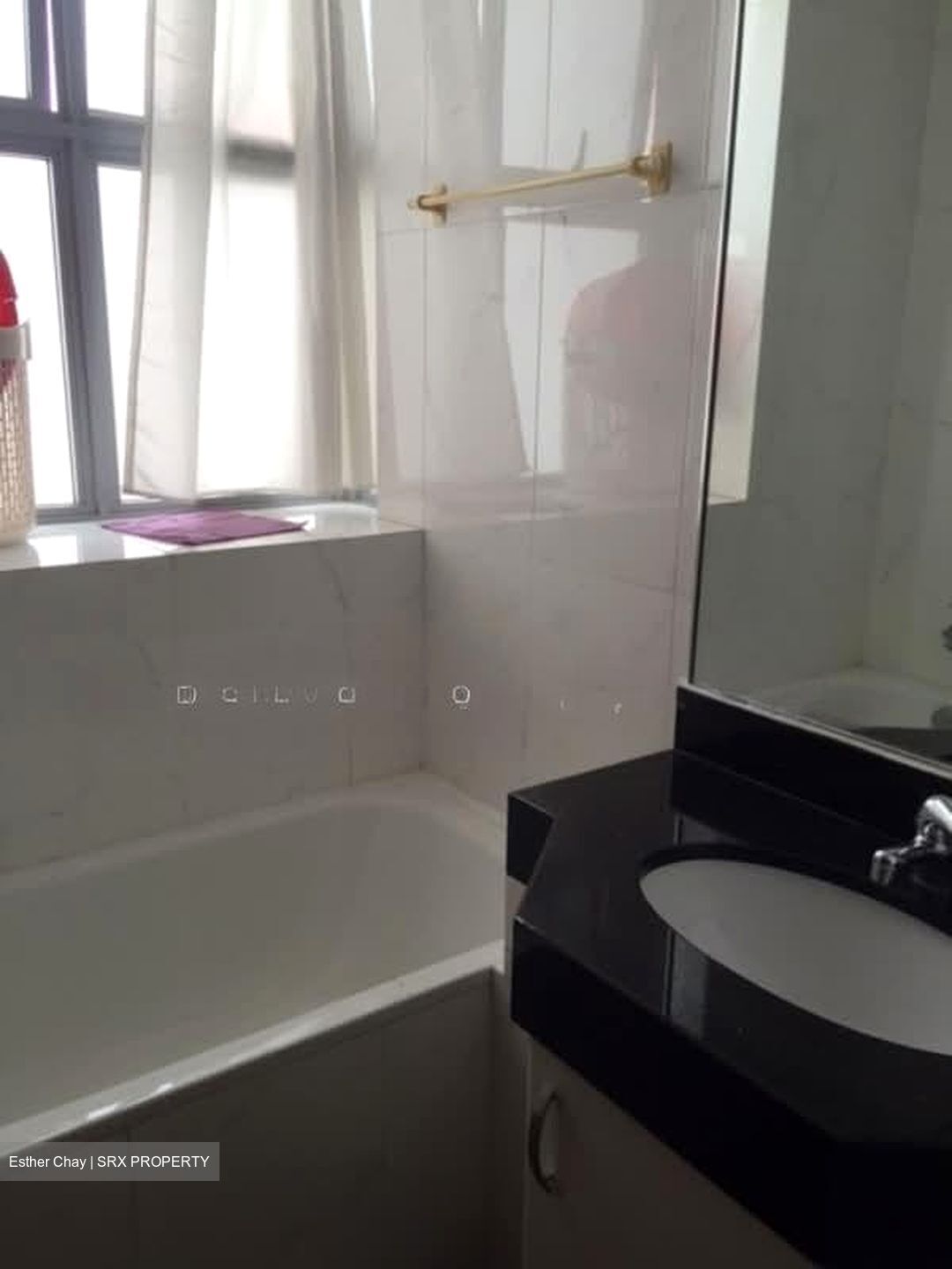 Bishan Loft (D20), Condominium #558322021